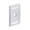 Placa Frontal Panduit Vertical 2 Puertos Blanco